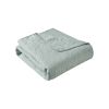 Oversized Quilted Throw Seafoam 60x70"
